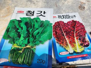 경주농장님의 기타작물 · 영농일지 작성글 사진