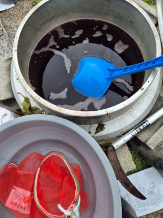 주말농 젠바님의 기타작물 · 영농일지 작성글 사진