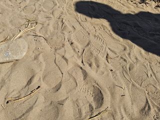 발해인님의 기타작물 · 영농일지 작성글 사진