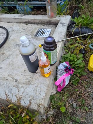 주말농 젠바님의 작성글 사진
