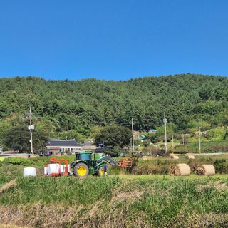 이행옥님의 기타작물 · 영농일지 작성글 사진