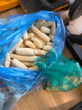 김윤회님의 기타작물 · 영농일지 작성글 사진