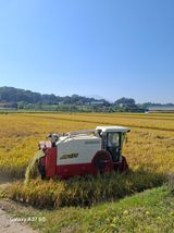 귤21628님의 작성글 사진