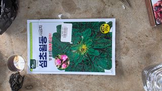정인재님의 작성글 사진