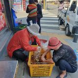 시민농장님의 작성글 사진
