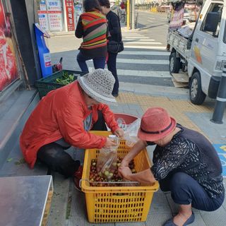 시민농장님의 기타작물 · 영농일지 작성글 사진