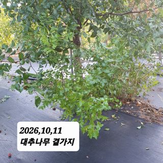 시민농장님의 기타작물 · 영농일지 작성글 사진