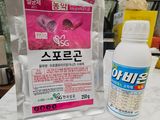 팜모닝 딸기·영농일지 게시글 이미지