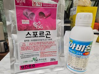 김상엽님의 딸기 · 영농일지 작성글 사진