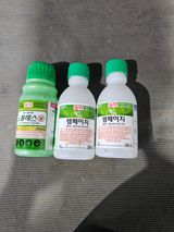 팜모닝 귤·영농일지 게시글 이미지