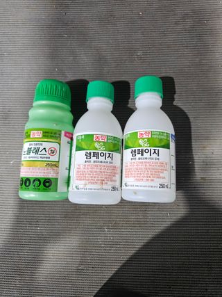 김승현님의 귤 · 영농일지 작성글 사진