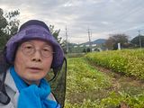 심기정님의 작성글 사진