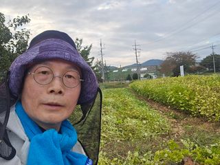 심기정님의 들깨 · 영농일지 작성글 사진