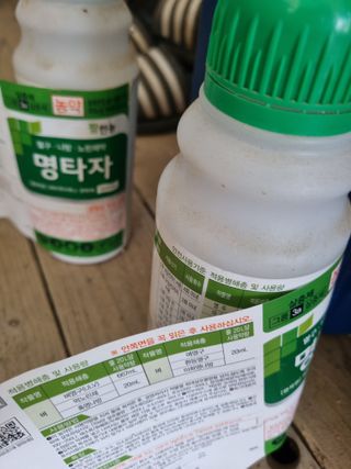 논산푸른팜님의 복숭아 · 영농일지 작성글 사진
