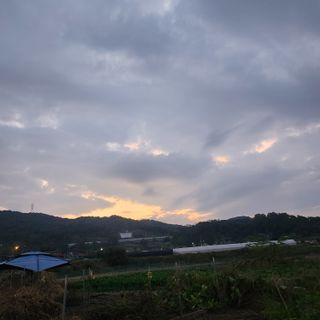 스마일00님의 기타작물 · 영농일지 작성글 사진