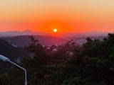 강화 산.해.감국님의 작성글 사진