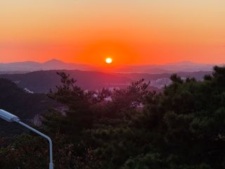 강화 산.해.감국님의 기타작물 · 영농일지 작성글 사진