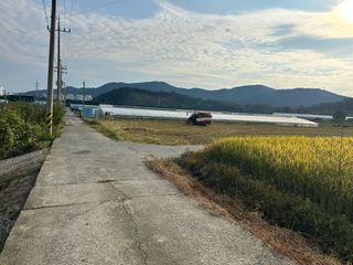 단감대봉시금치당님의 벼 · 영농일지 작성글 사진