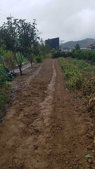 최춘득 청대산 님의 기타작물 · 영농일지 작성글 사진