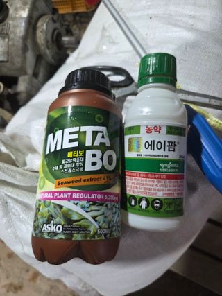 딱따구리님의 기타작물 · 영농일지 작성글 사진