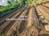 연모 자연의행복님의 작성글 사진