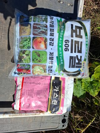 황의진님의 사과 · 영농일지 작성글 사진