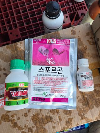 님의 딸기 · 영농일지 작성글 사진