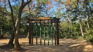 대박농장신초시님의 기타작물 · 영농일지 작성글 사진