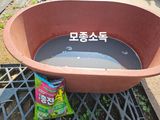 수랏간 농원 안승호님의 작성글 사진