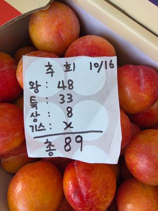 윤갱님의 기타작물 · 영농일지 작성글 사진