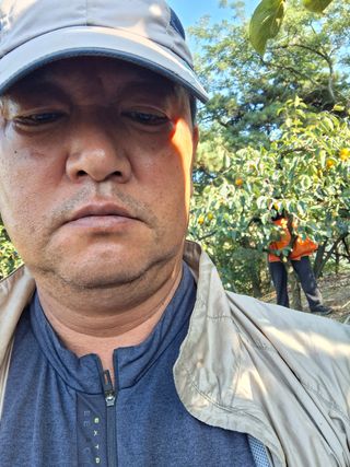 The농원님의 감 · 영농일지 작성글 사진