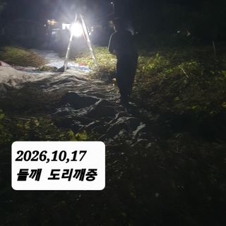 시민농장님의 들깨 · 영농일지 작성글 사진