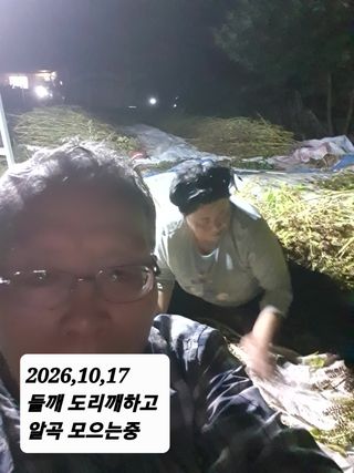 시민농장님의 들깨 · 영농일지 작성글 사진