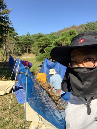 이종승님의 들깨 · 영농일지 작성글 사진
