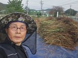 심기정님의 작성글 사진