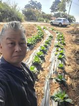 로만아빠님의 작성글 사진