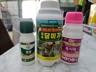 김상엽님의 딸기 · 영농일지 작성글 사진