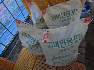 심기정님의 들깨 · 영농일지 작성글 사진