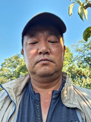 The농원님의 감 · 영농일지 작성글 사진