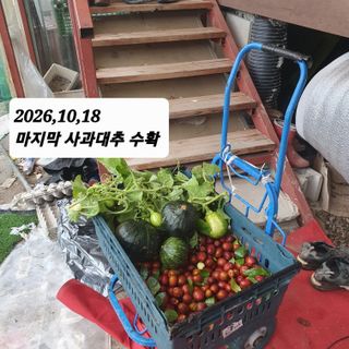 시민농장님의 기타작물 · 영농일지 작성글 사진