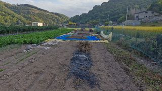 김동명님의 작성글 사진