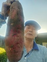 위종선님의 작성글 사진