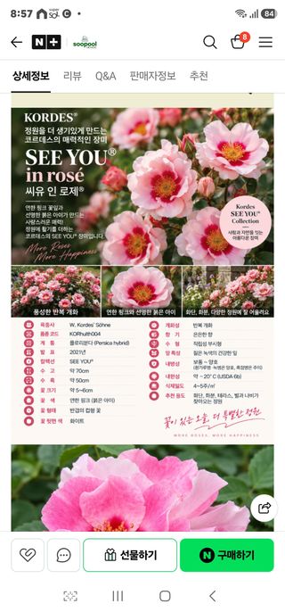 이명희님의 작성글 사진