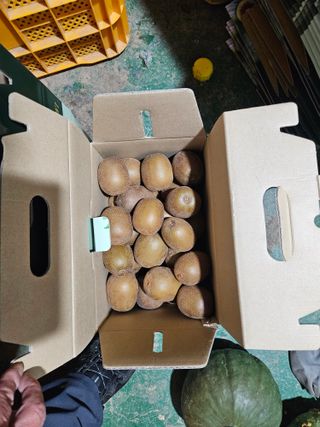 멧돼지님의 기타작물 · 영농일지 작성글 사진