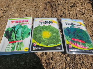 장산님의 고구마 · 영농일지 작성글 사진