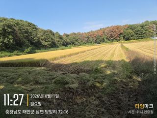 박태현님의 기타작물 · 영농일지 작성글 사진