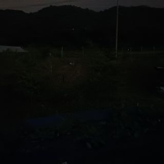 正覺님의 기타작물 · 영농일지 작성글 사진