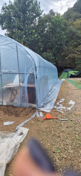 매실21434님의 기타작물 · 영농일지 작성글 사진