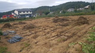 최춘득 청대산 님의 작성글 사진