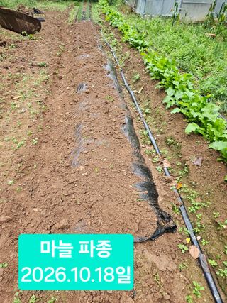 멧돼지님의 작성글 사진